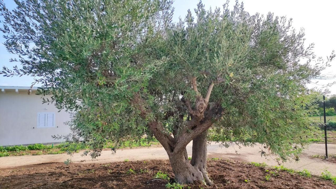 Lido di Noto Le Zagare Di Vendicari 빌라 외부 사진
